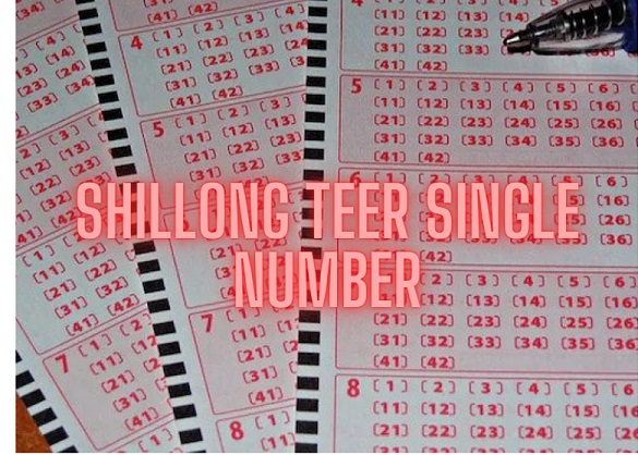 Shillong Single number, Ending and house Number